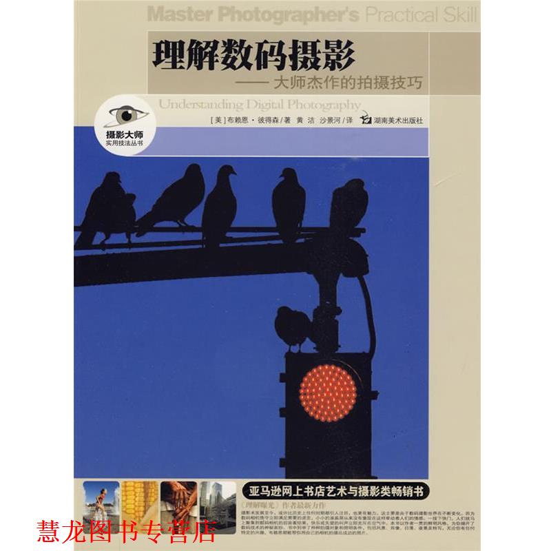 【正版书籍】 摄影大师实用技法丛书 理解数码摄影-大师杰作的拍摄技巧 (美)彼得森 著,黄洁,沙景和 译 湖南美术出版社