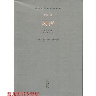 现当代长篇小说经典 系列 风声 长江文艺出版 书籍 麦家 社 正版