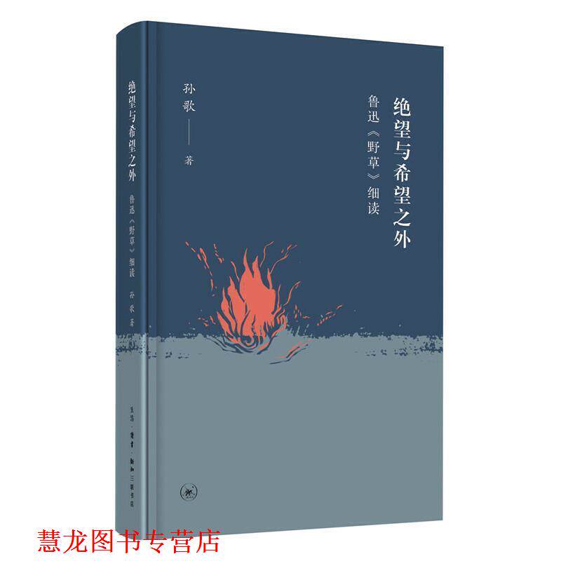 【正版书籍】 绝望与希望之外:鲁迅《野草》细读 孙歌 生活·读书·新知三联书店