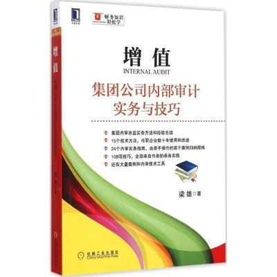 【正版书籍】 增值:集团公司内部审计实务与技巧 梁雄 机械工业出版社