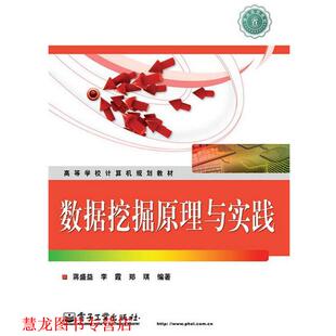 数据挖掘原理与实践 蒋盛益 李霞 电子工业出版 书籍 郑琪著 社 正版