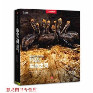 【正版书籍】 生命之灵：国际野生生物摄影年赛50年精选 罗莎蒙德·基德曼·考克斯 中信出版社