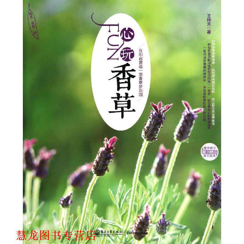 【正版书籍】 FUN心玩香草 王梓天　著 电子工业出版社