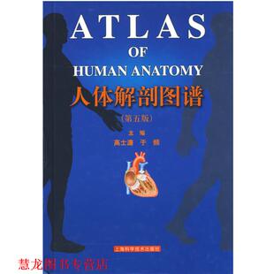 人体解剖图谱 高士濂 于频 上海科学技术出版 书籍 主编 社 正版