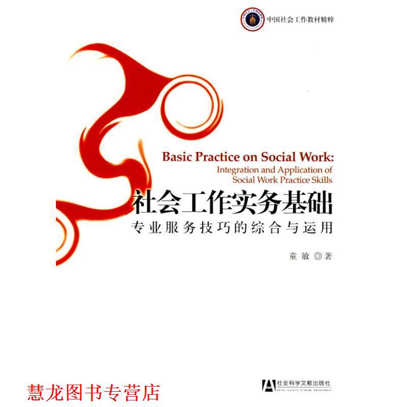 【正版书籍】 社会工作实务基础:专业服务技巧的综合与运用 童敏 著 社会科学文献出版社