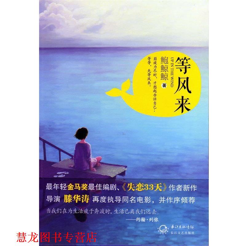 【正版书籍】 等风来 鲍鲸鲸 著 长江文艺出版社