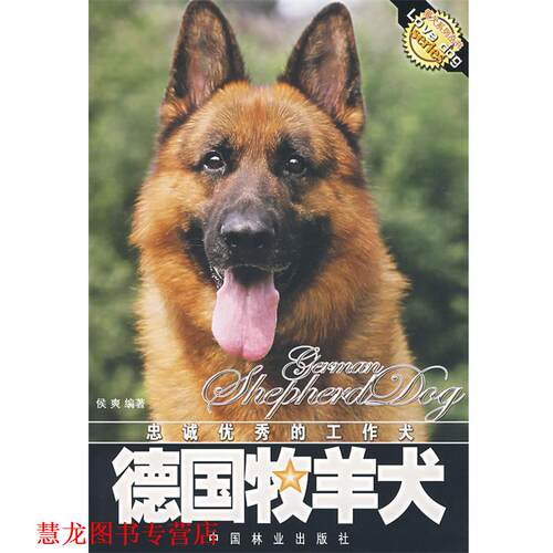 【正版书籍】 忠诚的工作犬:德国牧羊犬 侯爽 编著 中国林业出版社