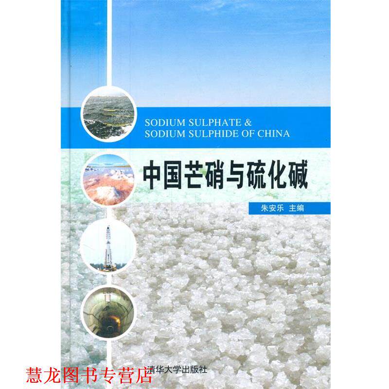 【正版书籍】 中国芒硝与硫化碱 朱安乐 主编 清华大学出版社