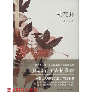 桃花井 书籍 蒋晓云 著 社 新星出版 正版