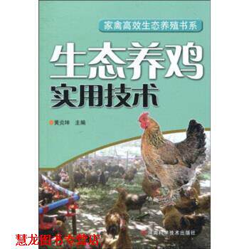 【正版书籍】 生态养鸡实用技术 黄炎坤 著 河南科学技术出版社