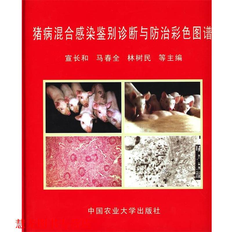 【正版书籍】 猪病混合感染鉴别诊断与防治彩色图谱 宣长河 等主编 中国农业大学出版社