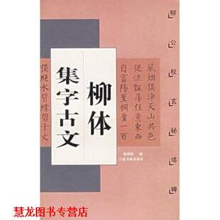 【正版书籍】 柳体集字古文：柳公权玄秘塔碑 蔡剑明 著 上海书画出版社