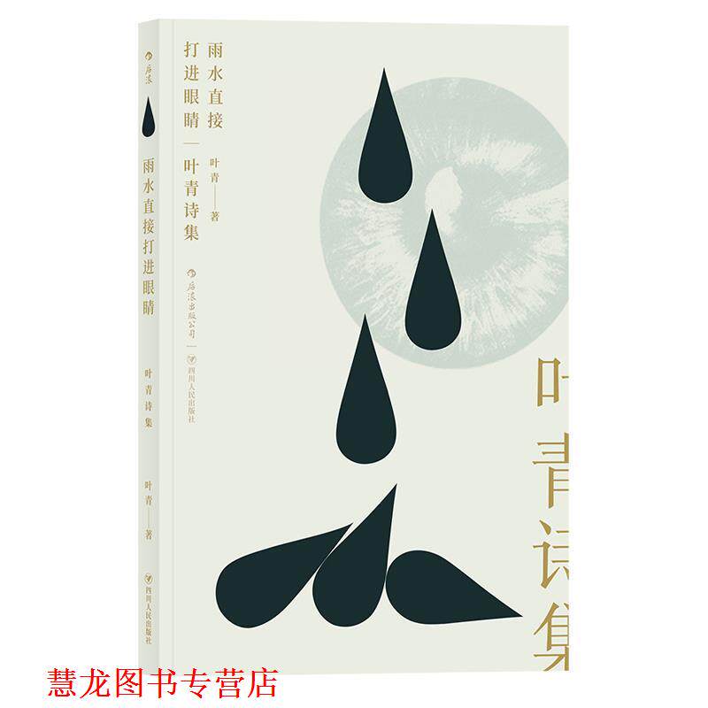 【正版书籍】 雨水直接打进眼睛:叶青诗集 叶青 四川人民出版社