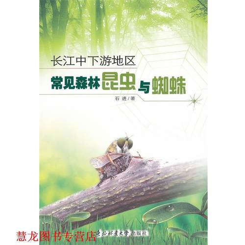 【正版书籍】 长江中下游地工常见森林昆虫与蜘蛛 石进　著 东北林业大学出版社
