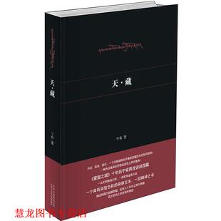 正版 北京十月文艺出版 书籍 宁肯 社 天·藏