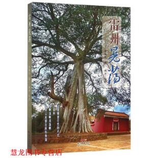 雷州晃荡 曾敏儿 广东人民出版 正版 社 摄影 书籍 施永 著