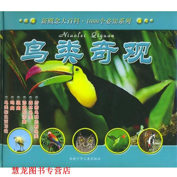【正版书籍】 鸟类奇观—新概念大百科. 1000个必知系列 （英）吉尼·约翰逊（JinnY Johnson） 著,颜传果,王继玲,张宇翔 译 安徽