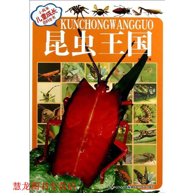 【正版书籍】 昆虫王国-小风车儿童成长百科全书 张卫红 湖北科学技术出版社