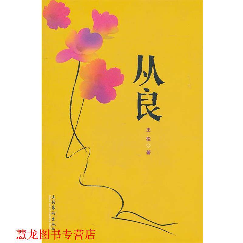 【正版书籍】 从良 王松 文化艺术出版社