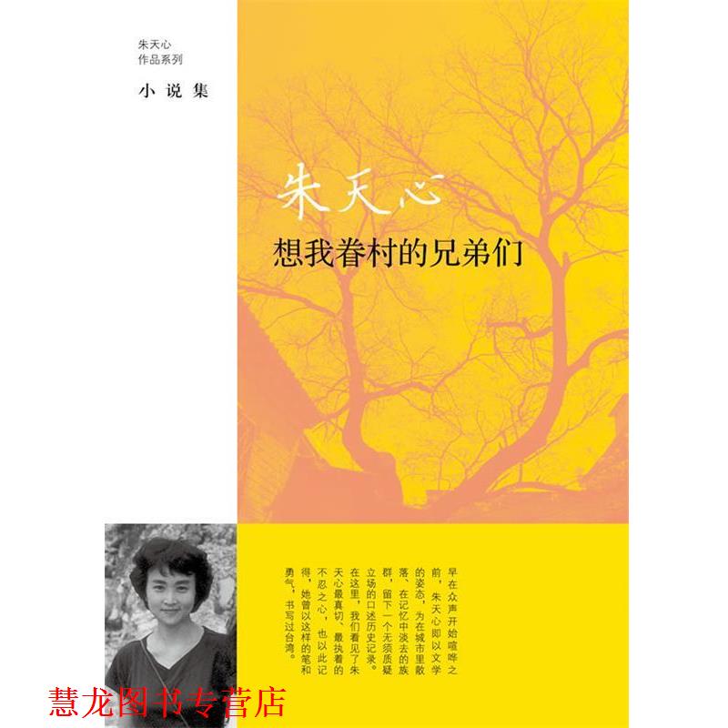 【正版书籍】 想我眷村的兄弟们 [中国台湾]朱天心著 上海译文出版社