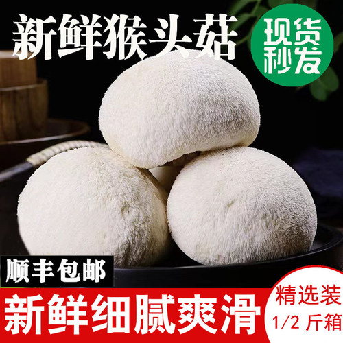 新鲜猴头菇顺丰冷链发货坏了包赔