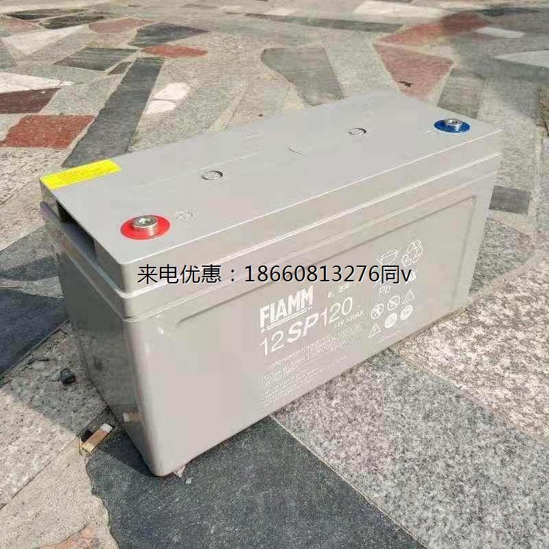 非凡蓄电池12V100AHFIAMM蓄电池12SP100直流屏电源应急电池太阳能