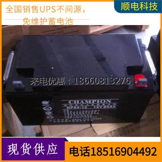 新款 VAH 免维护蓄电池NP0-12 UPS电源 储备型不丹发电厂