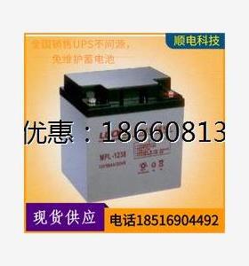 新款 LUOKI蓄电池- V38洛奇MPC- 12V33AH发电厂