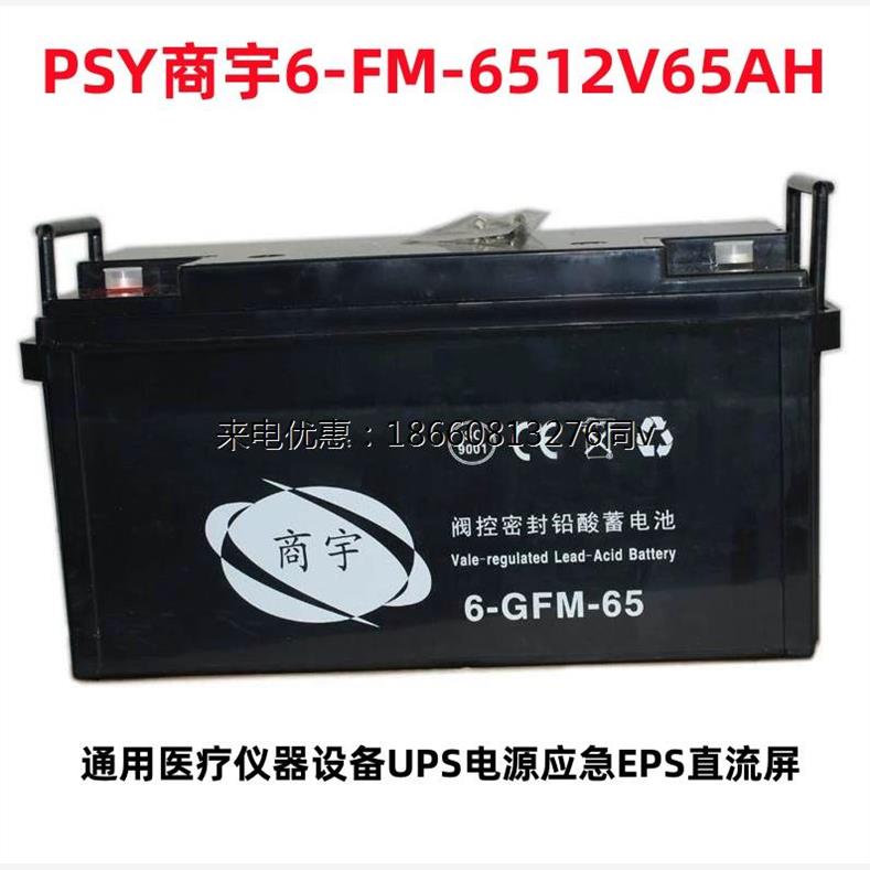 商宇6-FM-6512V65AH阀控密封铅酸蓄电池免维护UPS直流屏EPS机房