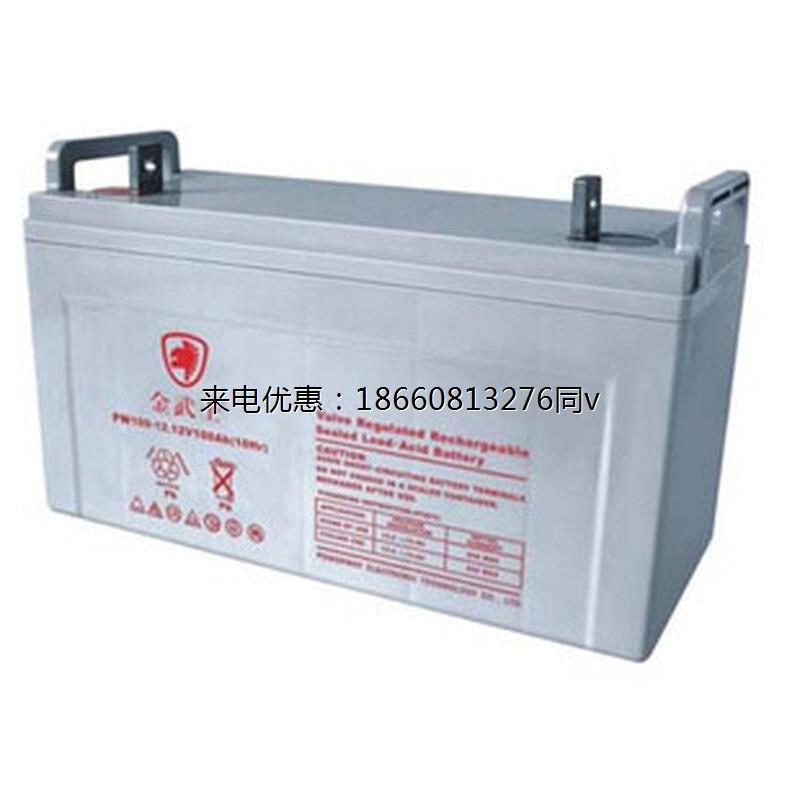 蓄电池12V100AH FW100-12ah 机房设备应急 ups电源可用