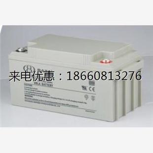 鸿贝蓄电池12V65AH BB1265免维护阀控铅酸UPS蓄电池 鸿贝蓄电池FM