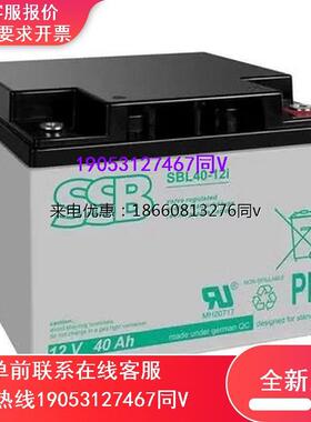 SSB蓄电池SB40-12L精密仪器消防主柜 医疗器械12V-40AH UPS电源