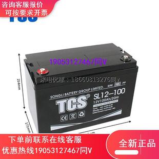TCS松立 SL12-100 12V 100AH AGM隔板纸储能阀控式铅酸蓄电池