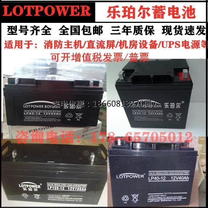 乐铂尔蓄电池LP38-12v17AH24AH38AH40AH65AH120AH200AH直流屏电源