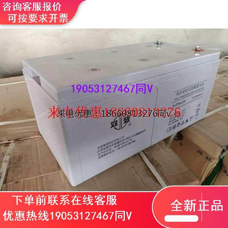 双登12vah 6-GFM-200 ups电源直流屏免维护铅酸蓄电池中国大陆