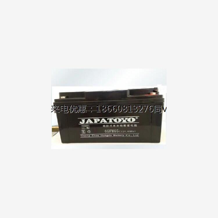 东洋蓄电池6GFM65/12V65AH免维护太阳能消防系统EPSUPS直流屏专用