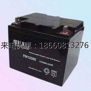 海湖SEALAKE蓄电池 FM12380 阀控式12V38AH UPS免维护铅酸蓄电池