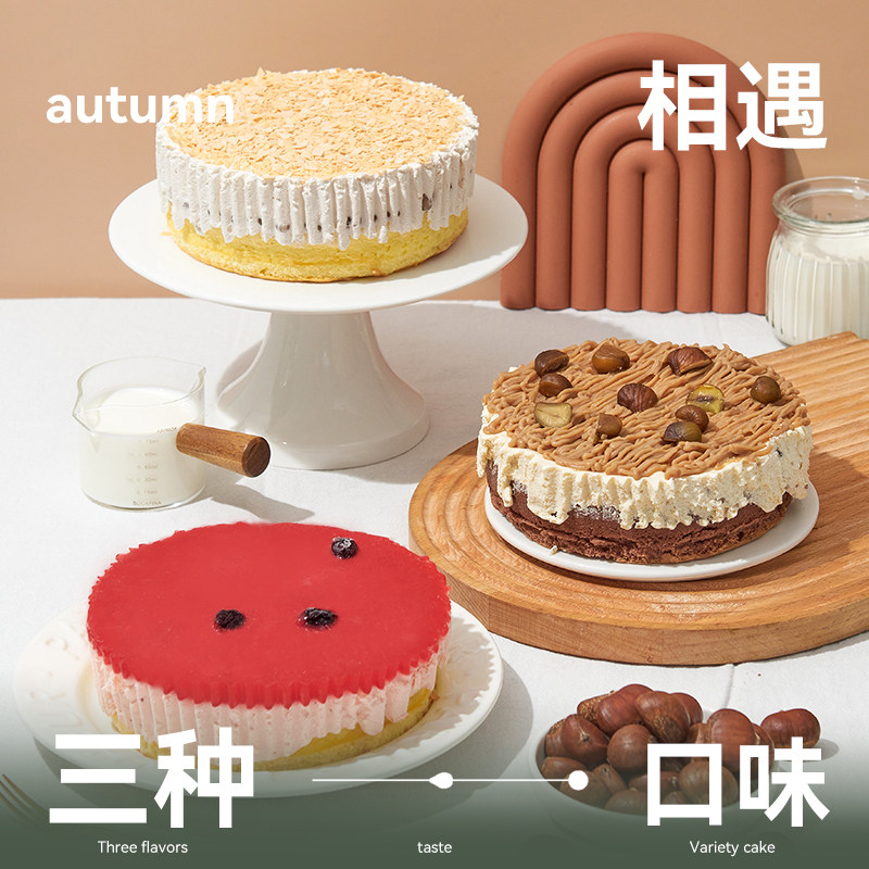 圣诞芝士蛋糕动物奶油网红爆款甜品零食板栗盒子糕点下午茶糕点心