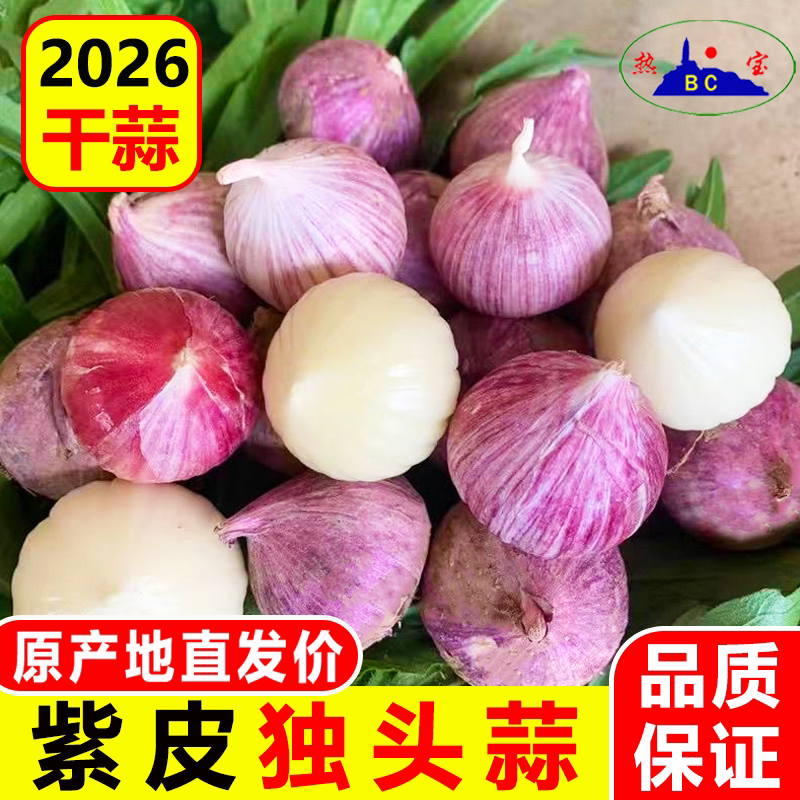 2026年紫皮干蒜当季新干蒜独头蒜