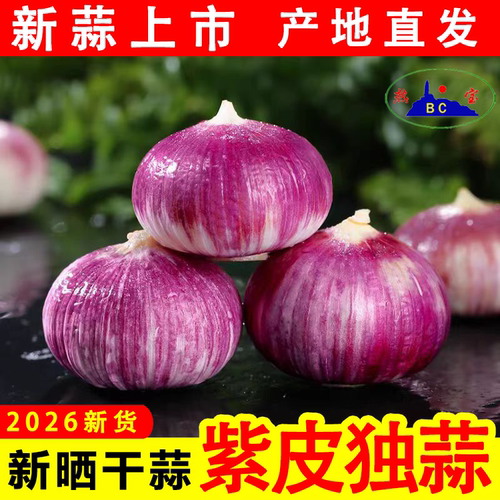 2026干独头蒜新晒新干蒜头紫皮蒜