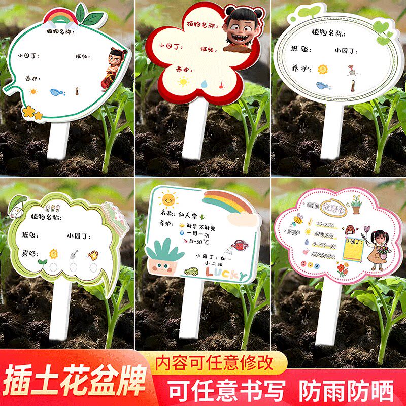 幼儿园花盆牌园艺绿植标签标识牌多肉养护牌插牌DIY可擦写学校植物