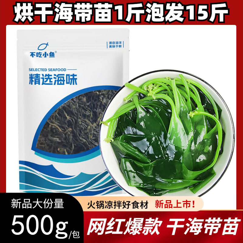 不吃小鱼海带苗干货霞浦海带嫩苗
