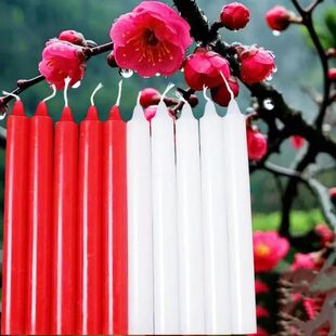 蜡烛做梅花无烟蜡烛无味梅花家用东北农村蜡花手工材料红色白色