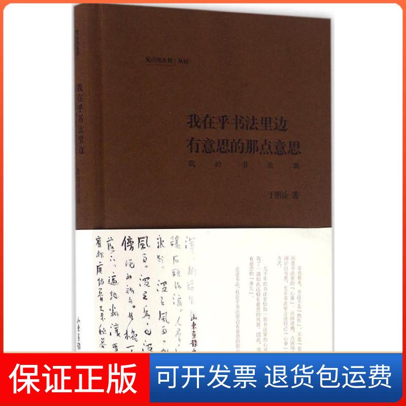 【保正版】我在乎书法里有意思的那点意思于明诠 著山东画报出版社9787547414989