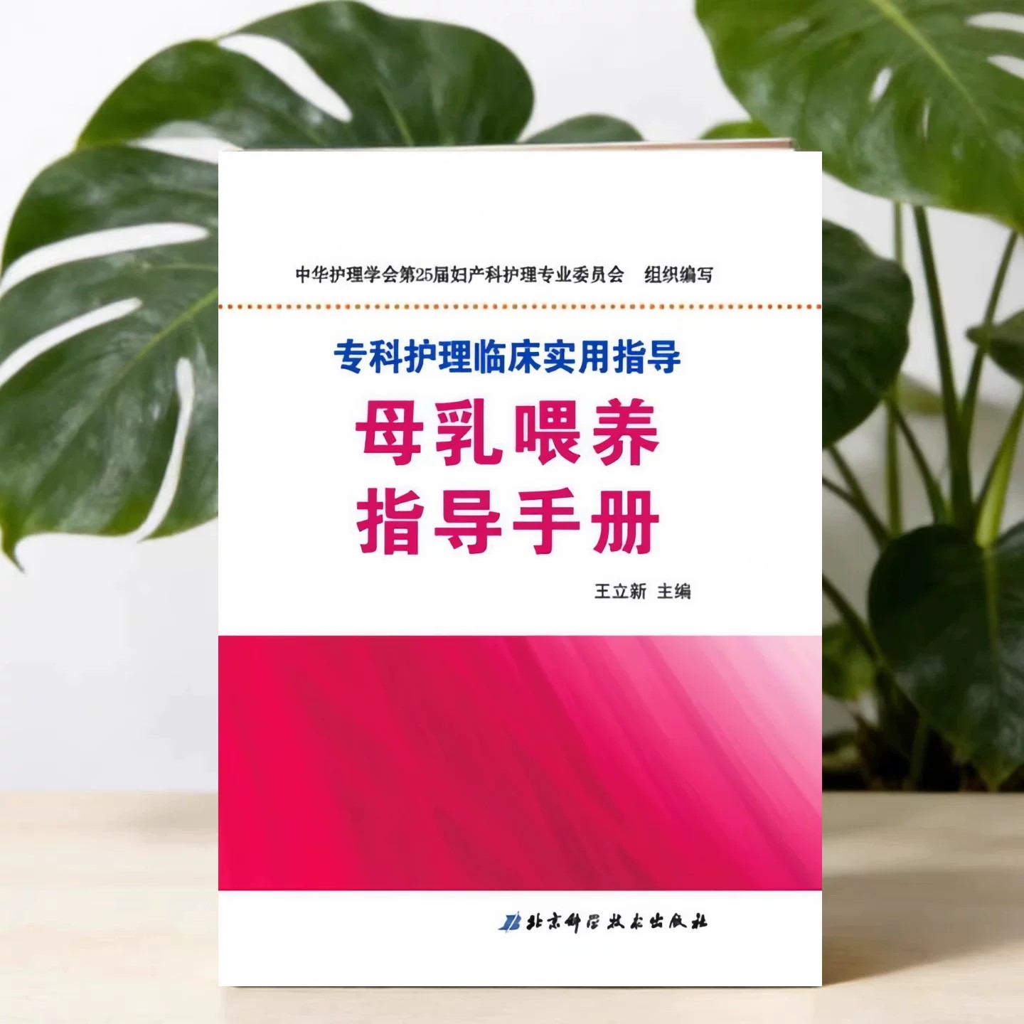 母乳喂养指导手册王立新