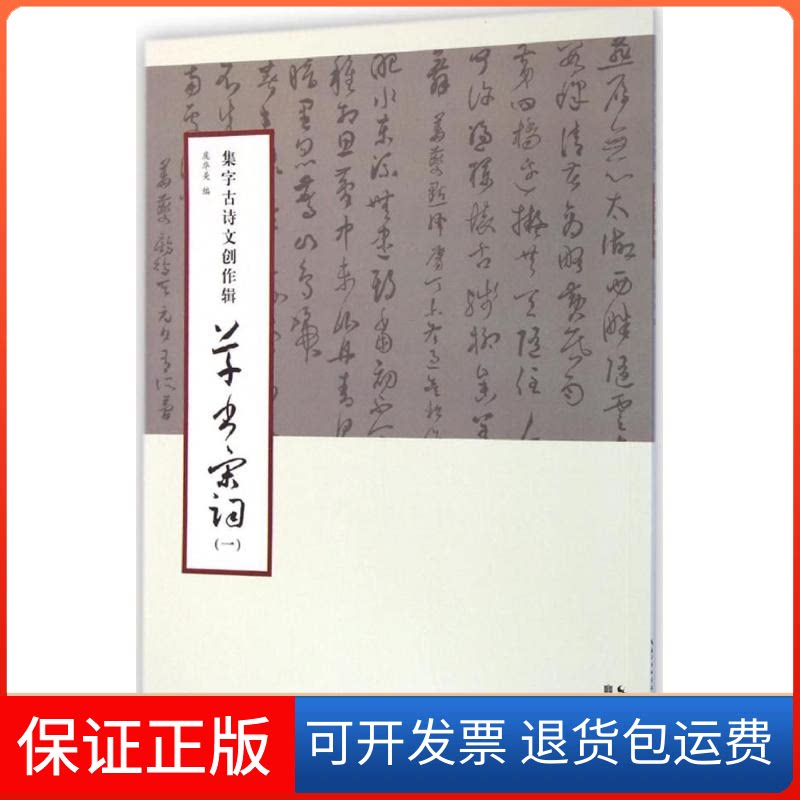 【保正版】草书宋词庞华美 编 著湖北美术出版社9787539472560