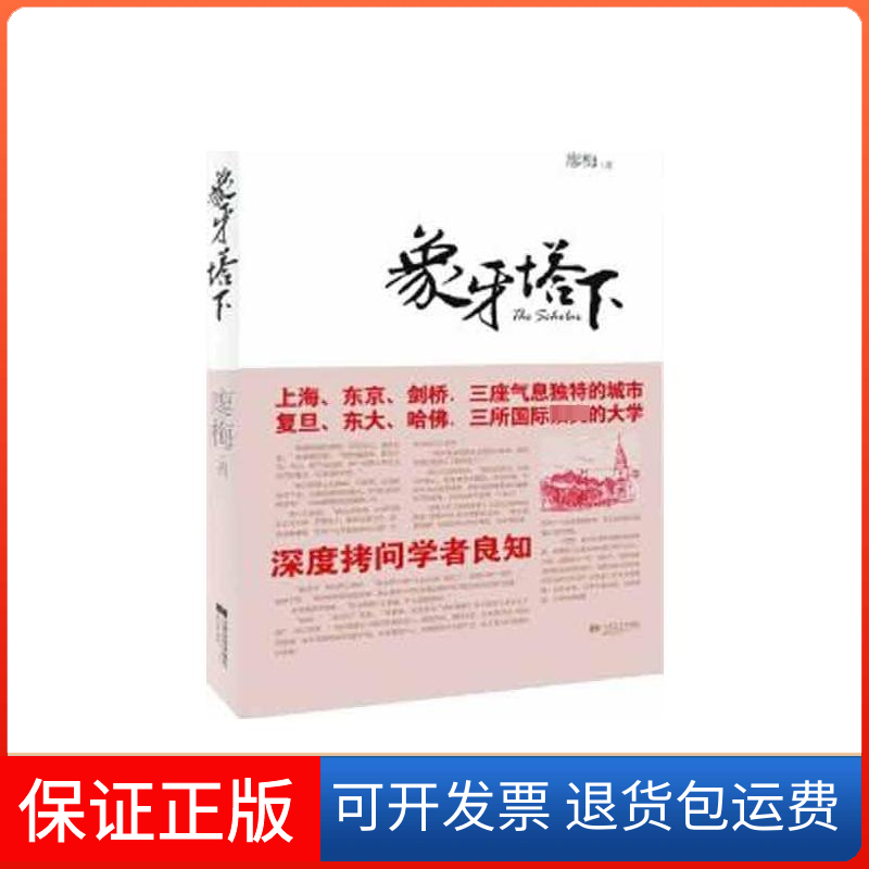 【保正版】象牙塔下廖梅 著作江苏文艺出版社9787539944135