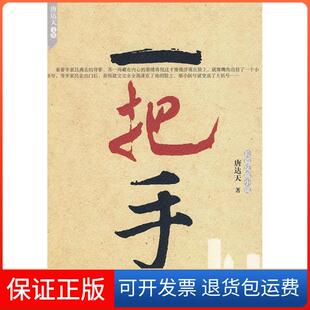 一把手唐达天现代出版 长篇反腐小说 社9787802445741 保正版