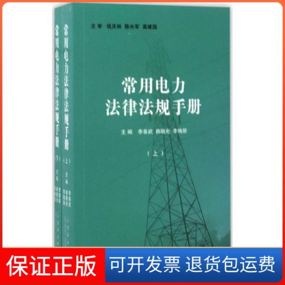 【保正版】常用电力法律法规手册李善武,韩晓光,李绚丽 主编山东人民出版社9787209104715