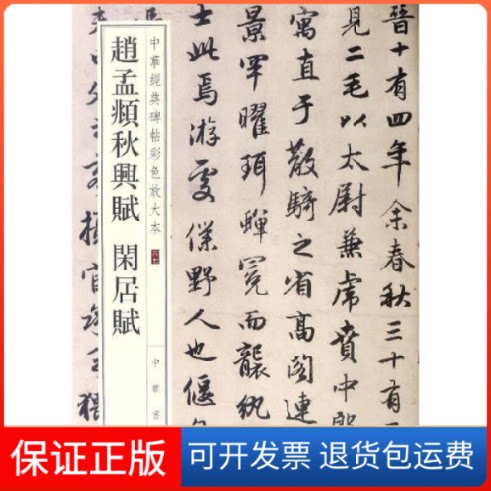 【保正版】墨点字帖成人初学者老年大学行书速成女生赵孟頫洛神赋碑帖临摹本毛笔行书字帖书法爱好者毛笔练字帖练字